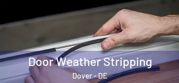  Door Weather Stripping Dover - DE