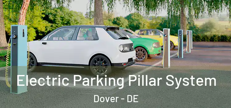  Electric Parking Pillar System Dover - DE