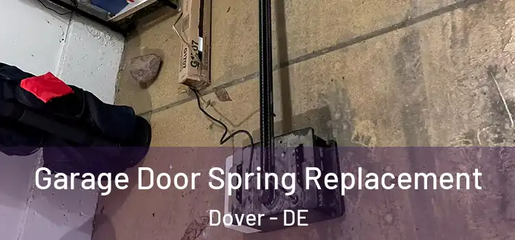  Garage Door Spring Replacement Dover - DE