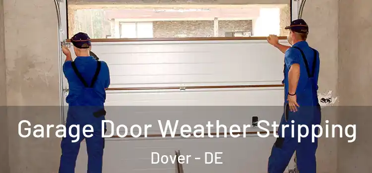  Garage Door Weather Stripping Dover - DE