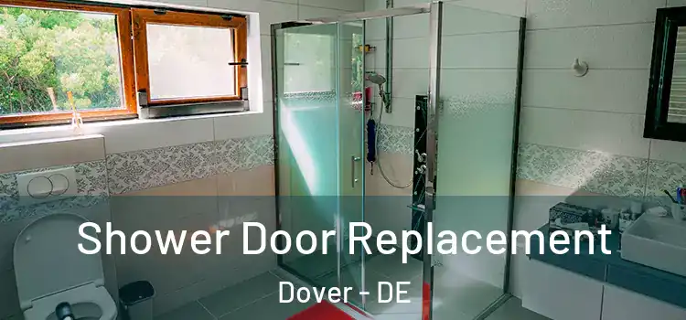 Shower Door Replacement Dover - DE